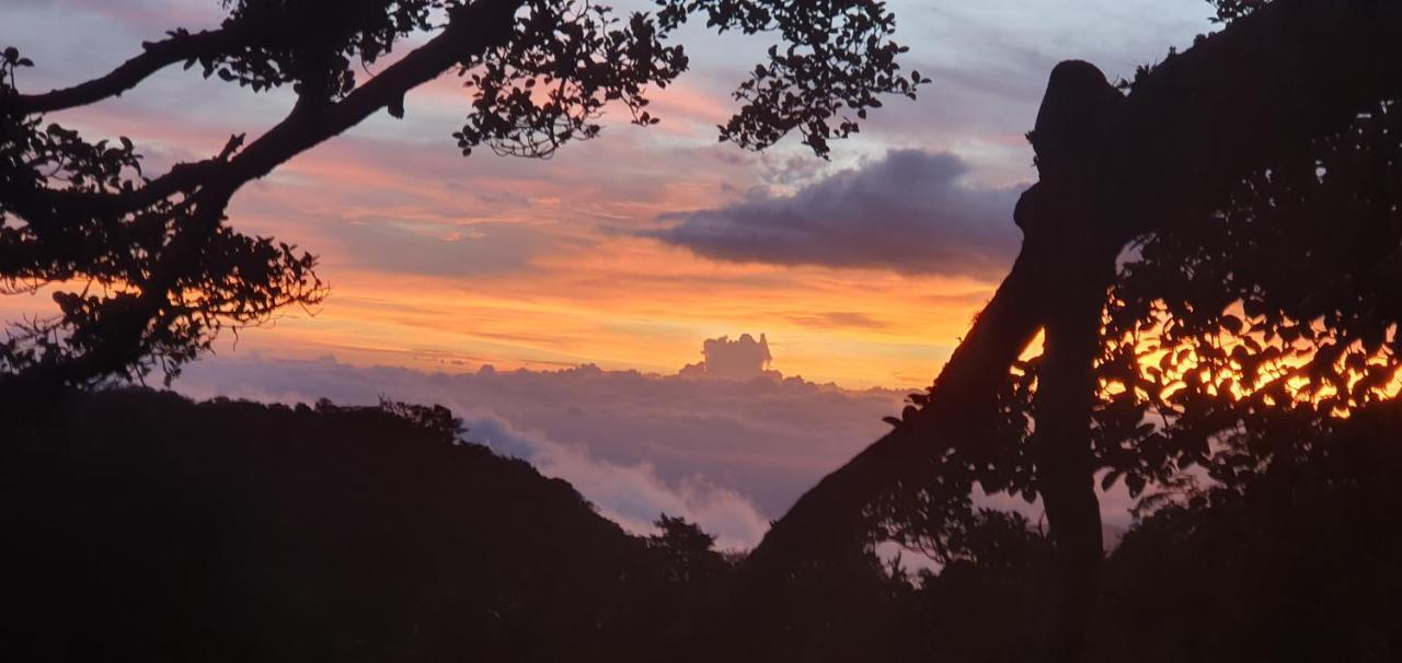 Outbox Inn Monteverde Ngoại thất bức ảnh