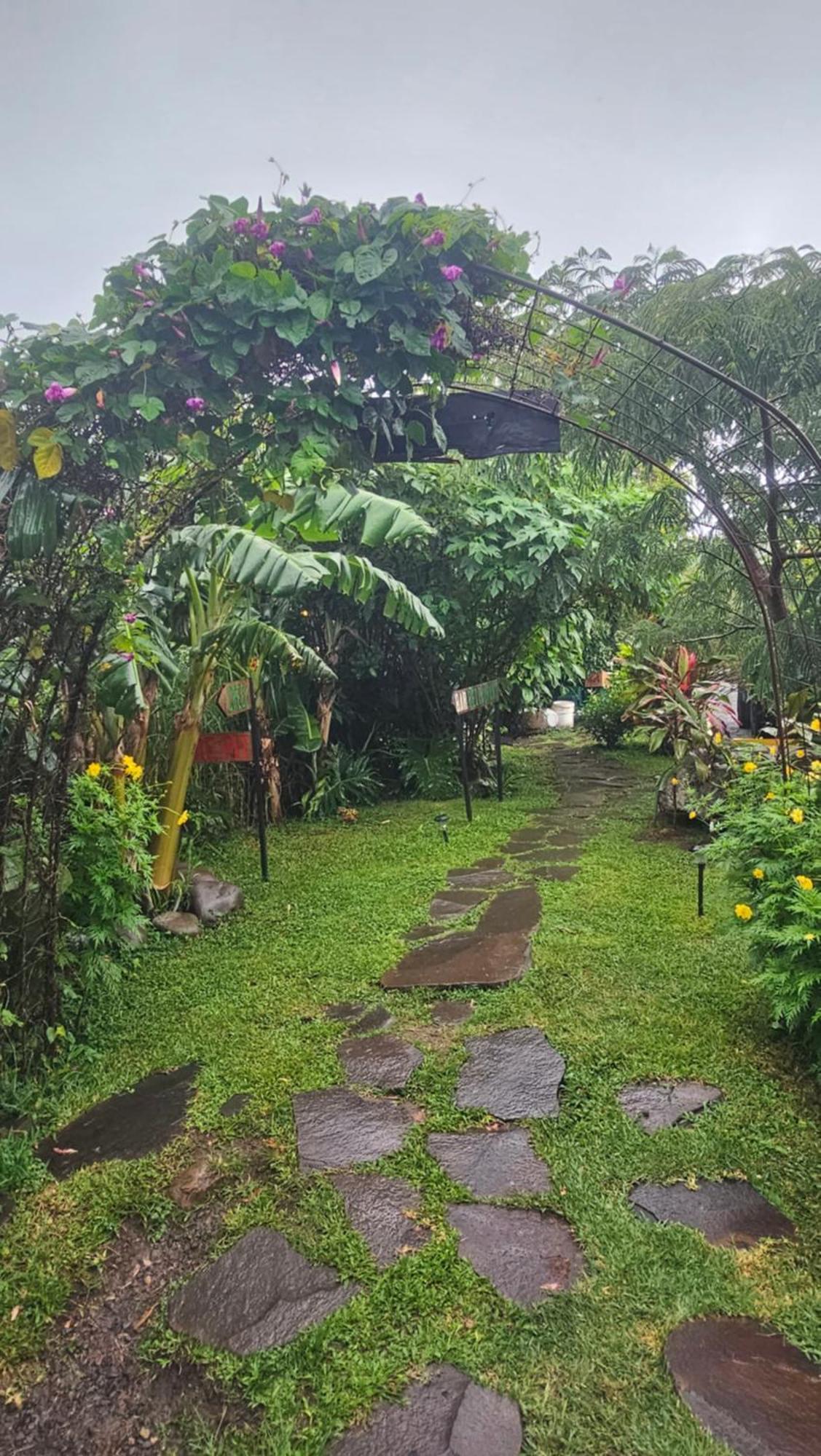 Outbox Inn Monteverde Ngoại thất bức ảnh